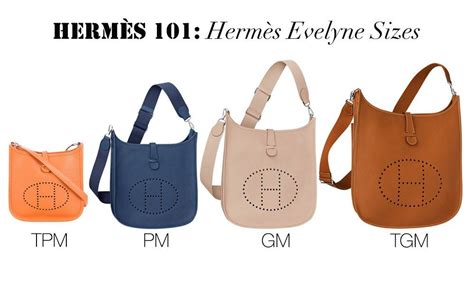 sac evelyn hermes|hermes evelyne sizes and prices.